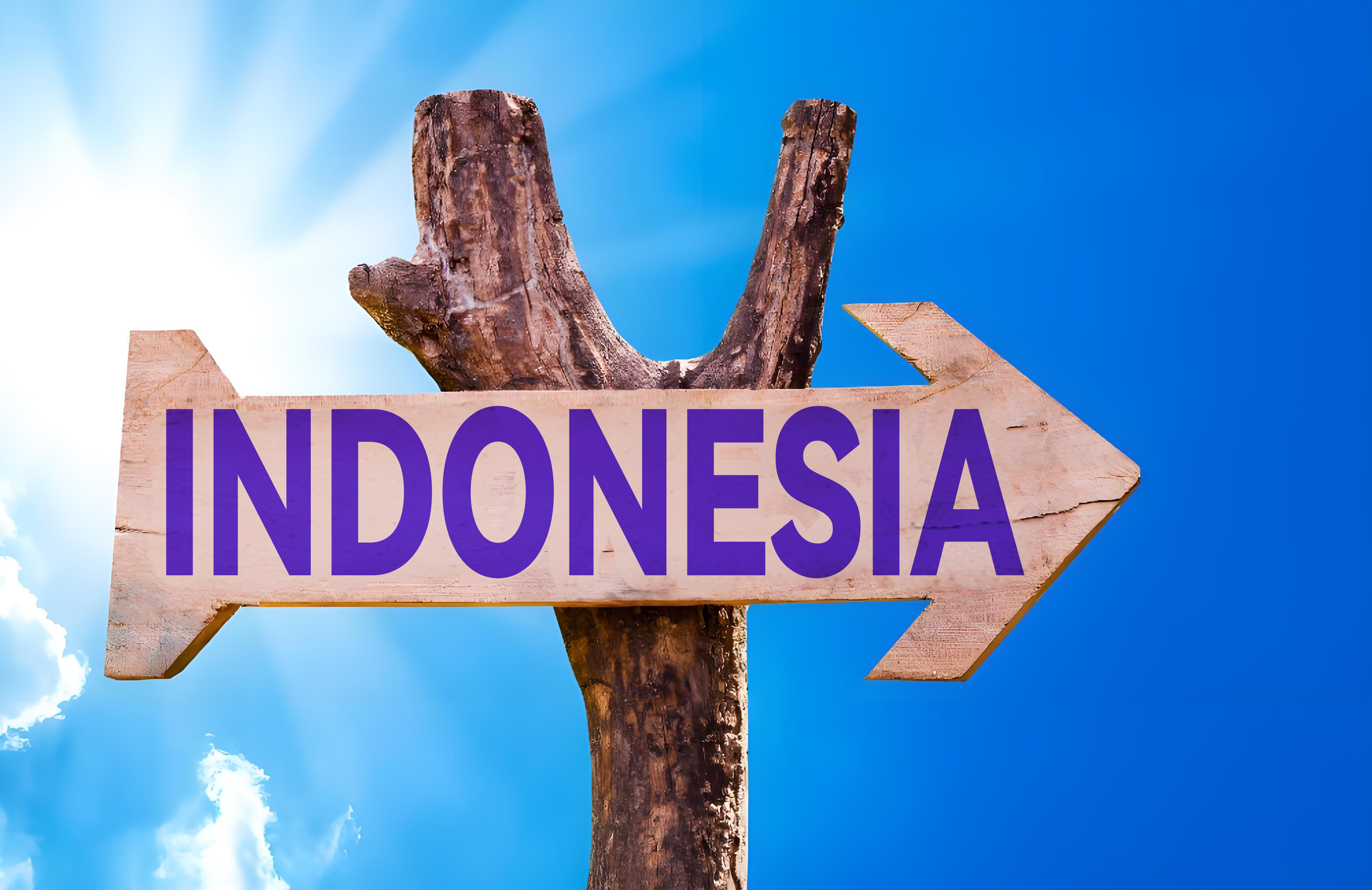 Indonesia,Cosmetic,BPOM,Distribution,Ingredient,Prohibited