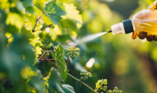 China,Pesticide,Registration,Policy,New,Summary