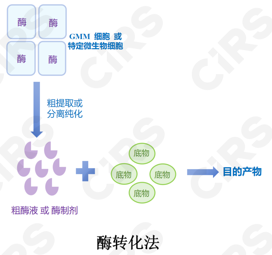 合成生物學,酶轉化,全細胞催化,發酵法,食品,創新應用,申報指南