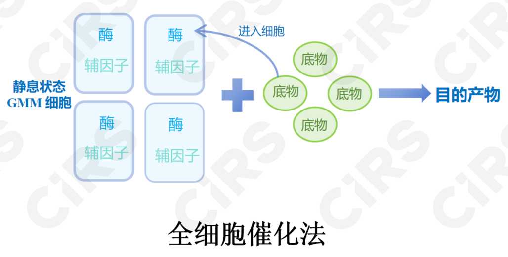 合成生物學,酶轉化,全細胞催化,發酵法,食品,創新應用,申報指南
