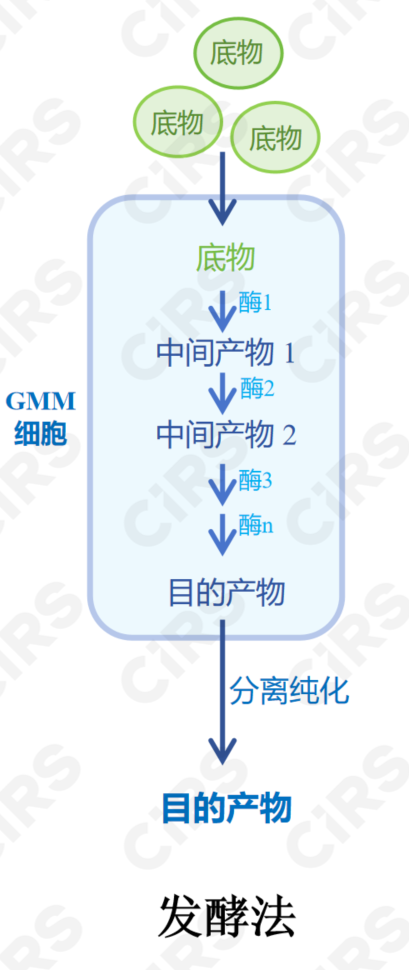 合成生物學,酶轉化,全細胞催化,發酵法,食品,創新應用,申報指南