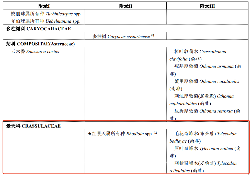 保健食品原料,紅景天,合成生物學,紅景天苷
